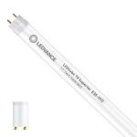 Ledvance LED Buis T8 Superior (EM/Mains) High Output 17.7W 3100lm - 865 Daglicht | 150cm - Vervangt 58W